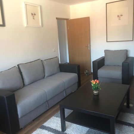 Apartament Belvedere Călimăneşti Екстериор снимка